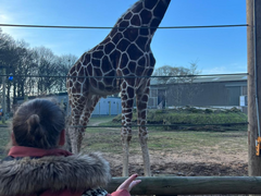 Wildlife Park