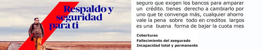 Vida deudor copia.png