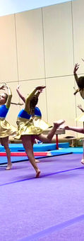 Southern Moves Festival, Sponte Sua Gymnastics Annual Gala. Gymnastics festival. Wimbledon Gymnastics, Sponte Sua gymnastics in Westminster, Guildford, Winchester, Wimbledon. Artistic Gymnastics Show, Rhythmic gymnastics show.  Dance festival. London Gymnastics, British Gymnastics club. Wimbledon Gymnastics Centre.