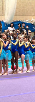 Southern Moves Festival, Sponte Sua Gymnastics Annual Gala. Gymnastics festival. Wimbledon Gymnastics, Sponte Sua gymnastics in Westminster, Guildford, Winchester, Wimbledon. Artistic Gymnastics Show, Rhythmic gymnastics show.  Dance festival. London Gymnastics, British Gymnastics club. Wimbledon Gymnastics Centre.