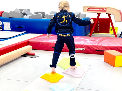 Wimbledon Gymnastics Centre, Sponte Sua Gymnastics, Wimbledon Merton, Uk, London Gymnastics, British Gymnastics, Artistic gymnastics, Rhythmic Gymnastics, Gymnastics for children South West London Classes for kids, baby gym, Baby dance classes, rhythmic Gymnastics London, Squad groups sports, recreational sports Wimbledon, Surrey, Tooting Gymnastics, Gymnastics in Balham, LittleGymnastics for babies, Ninjas skills, acrobatic, performing dance Wimbledon, Dance classes Wimbledon, Fitness Gym, Adult classes, Toddlers lessons sports Wimbledon, Fulham Gymnastics, Putney Gymnastics, London region competitions, Gymnastics leotards, gymnastics shoes, The-zone gymnastics leotards, Gymnastics Festival, Southern Moves Festival Gymnastics and Dance, Acro dance SW London, Age uk Gym, Age uk classes, Contemporary dance Sponte Sua, Modern Dance Wimbledon, Merton Gymnastics academy, Academy of Gymnastics, Sponte Sua Gym, King's Club classes, Morley Park Gymnastics, Wimbledon High School sports classes, Putney Gymnastics, Elite Gymnastics UK, General Gymnastics London, GFA, Gymnastics for all, Olympic gymnastics Wimbledon, South Wimbledon Dance, Jazz dance Ballet classes, Baby Ballet, toddler classes, Kids sports London, Merton sports, Earlsfield gymnastics academy, Southfield dance gymnastics academy, Kingston Gymnastics, Millbank academy Gymnastics dance, Richmond Gymnastics centre, Gymnastics classes kids, Advanced gymnastics, Schools classes, Sponte Sua, DBS coaches, Gymnastics coaches, Gymnastics jobs, Wimbledon UK, BG, Gymnastics courses, dance courses, performing arts, Performing shows, Gymnastics gala, Fitness centre, Fitness club, Wimbledon academy, Wimbledon club, Merton Counsil, Guildford gymnastics, King's College gymnastics, Trampoline classes kids, aerobic gymnastics, martial arts, judo Wimbledon, taekwondo Merton, Yoga classes adults Wimbledon, gymnastics skills, gymnastics shapes, forward roll, handstand, cartwheel, round off, gymnastics apparatus, gymnastics beam, gymnastics vault, gymnastics bars, gymnastics rings, gymnastics ribbons, gymnastics ropes, gymnastics balls, gymnastics hoops, pommel horse, European gymnastics, gymnastics Christmas competition, gymnastics awards, gymnastics routines, sports clubs, London clubs, Wimbledon clubs, Wimbledon classes, afternoon classes, after school class, gymnastics fees, gymfit, BAGA awards, BAGA gymnastics, England gymnastics, Britannia, winastrada, gymnastics events, dance classes toddlers, ballet classes Wimbledon, dance shows, strictly come dance. Wimbledon Royal gymnastics, Wimbledon gymnastics academy, Westminster gymnastics centre, Chelsea gymnastics, Kensington gymnastics centre, pimlico gymnastics, Wandsworth gymnastics classes, gymnastics judge, dance teachers, choreography, routines, Birthday parties in Wimbledon, Kids Parties London, Children Parties Merton Wimbledon, Birthday party in Wimbledon Gymnastics Centre, Parents Do class, Parents Training class, Southern Moves Festival, Sponte Sua Gymnastics Annual Gala show, Gymnastics and Dance Show .jpg