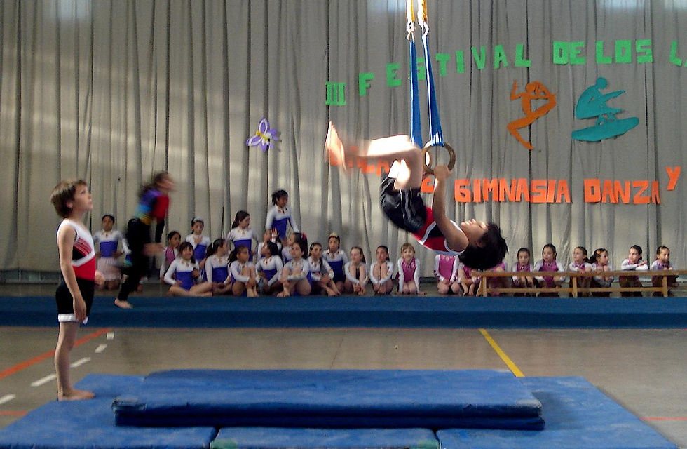 Sponte Sua Gym Argentina -Festival