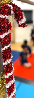 Christmas Gymnastics Competition.
Gymnastics Competition In London. Sponte Sua Gymnastics Competition.
Gymnastics Competition, Wimbledon Gymnastics, London Gymnastics Competition, Sponte Sua GYmnastics, Christmas Gymnastics, Christmas Events for children, Artistic Gymnastics, Rhythmic Gymnastics events.