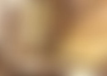 Becoming a Beekeeper - Day 1 till Day 365