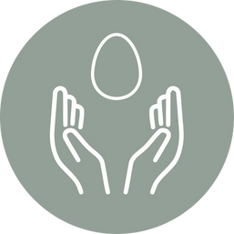 תרומת ביצית