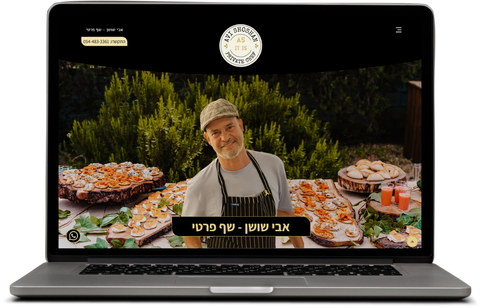 בניית אתר מיני-סייט אבי שושן
