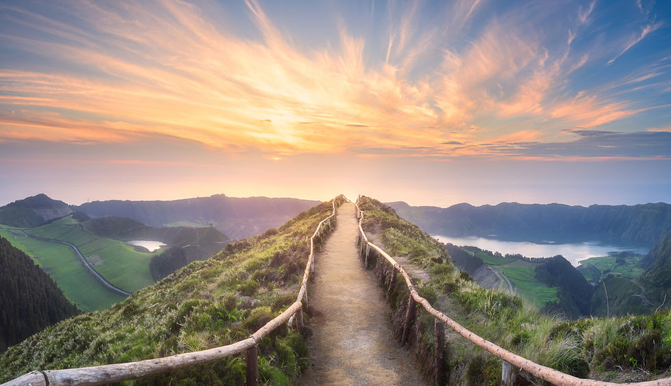 תמונה דף הבית1