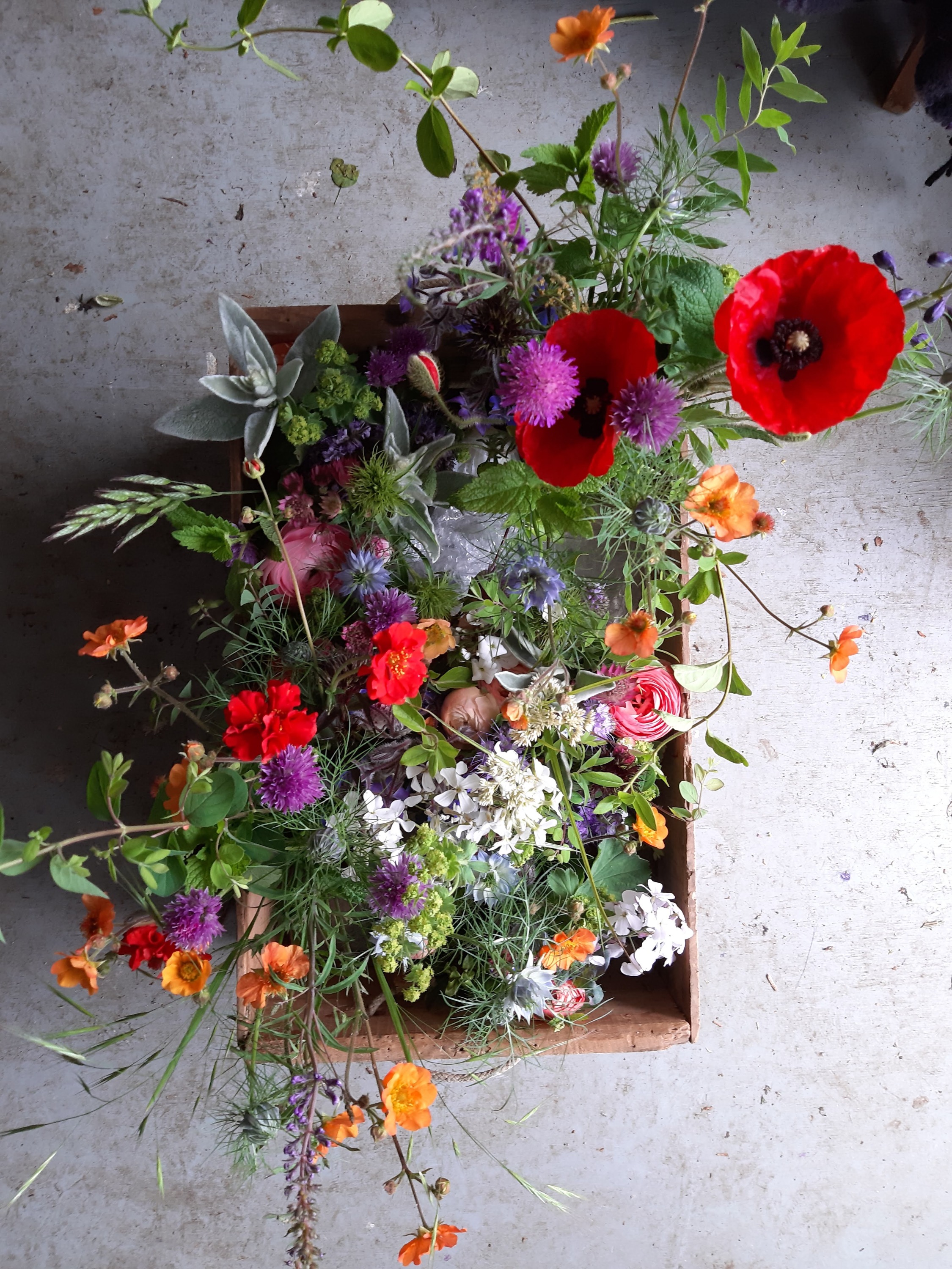 20190526_090738_edited