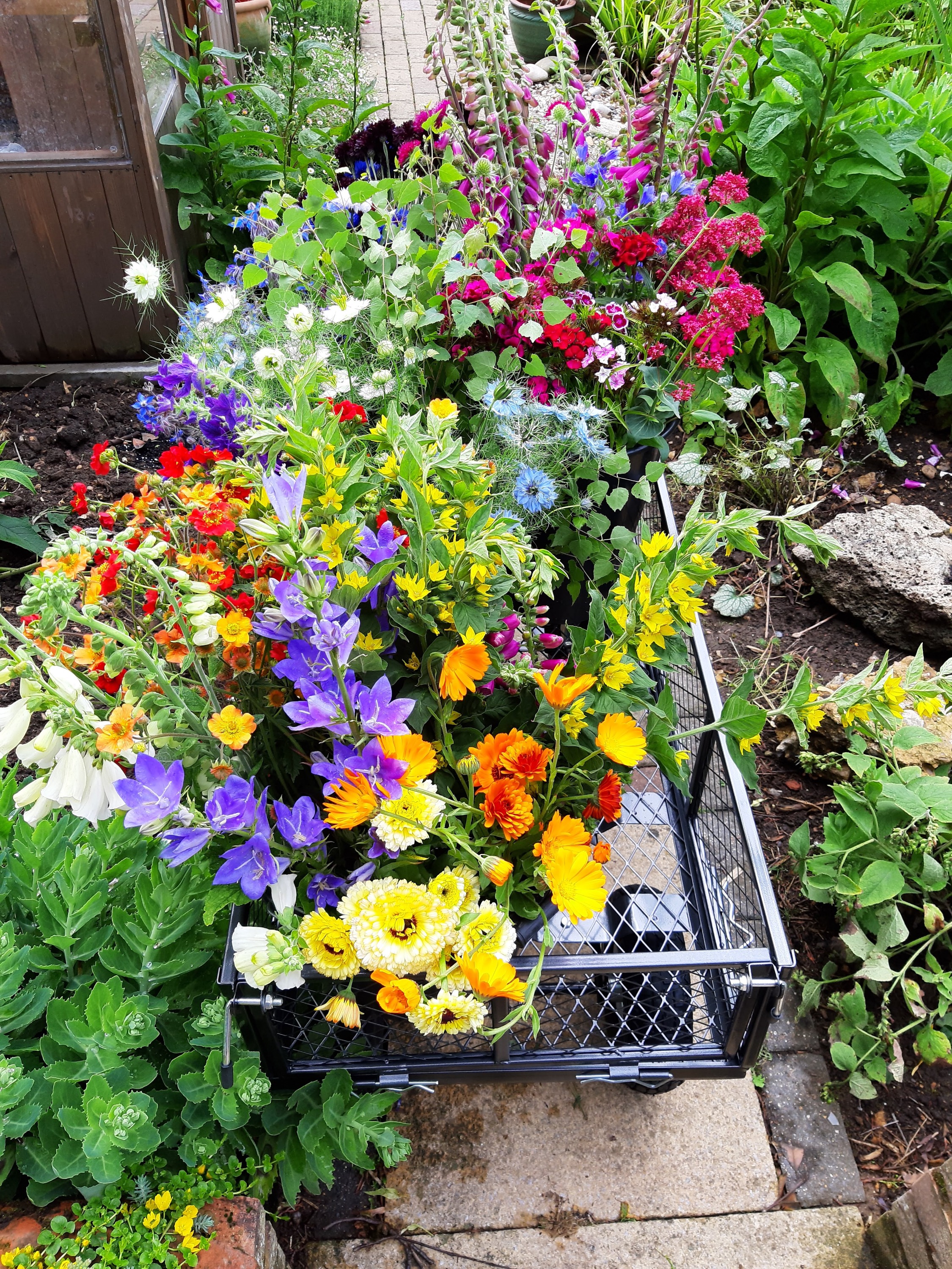 20190614_101753_edited