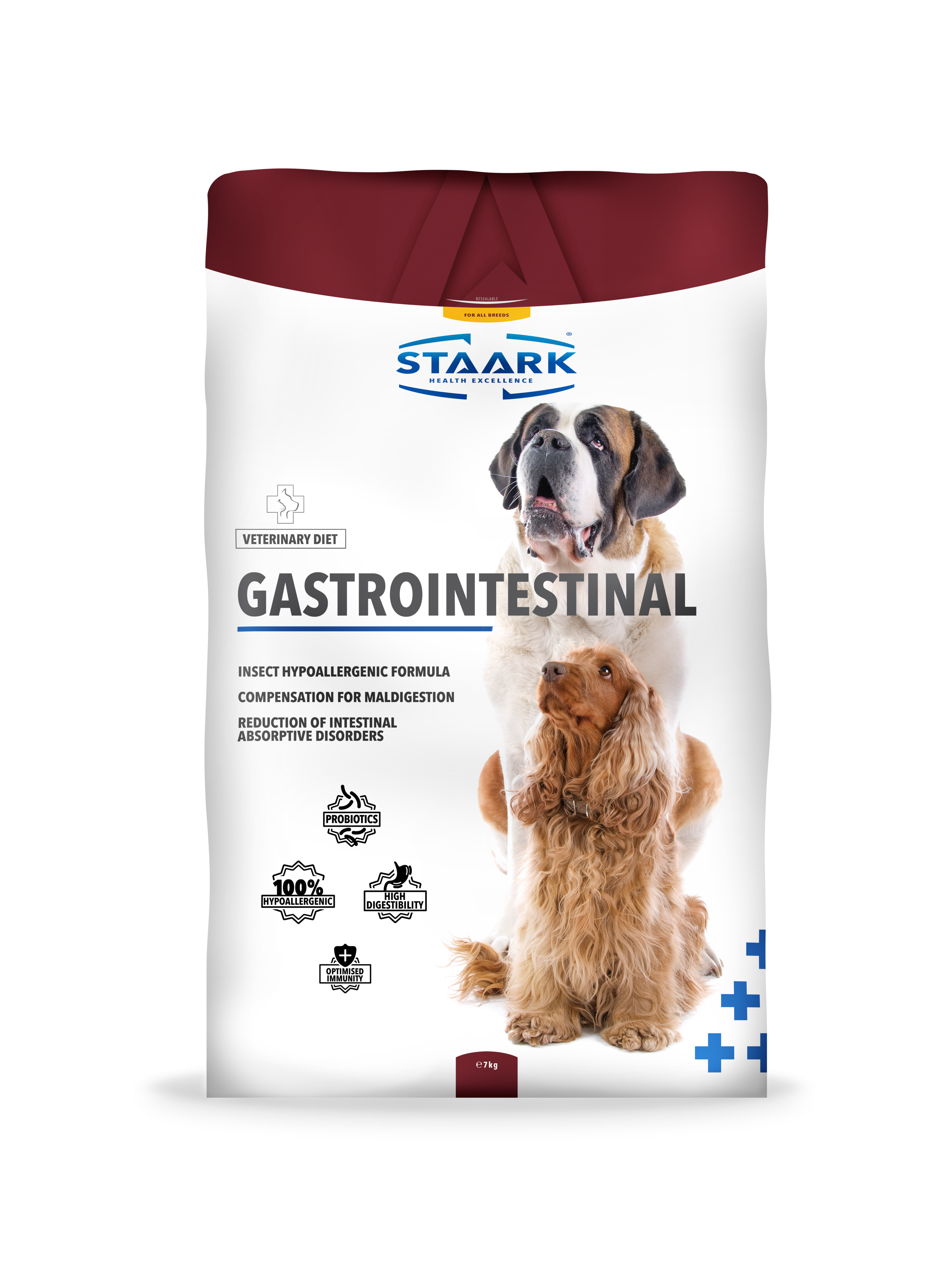 Gastrointestinal Dog