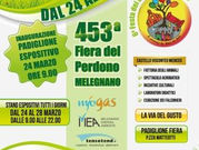 Prossimo appuntamento di GAUDIO il 24 marzo per la 453^ festa del Perdono a Melegnano