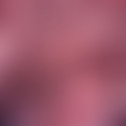 BARF (Biologically Appropriate Raw Food- Alimentación Cruda Biológicamente Apropiada)