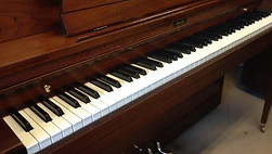 image3.JPG