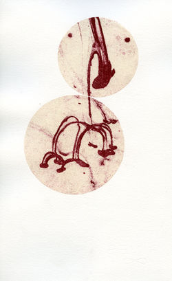 Abstract transfer004.jpg