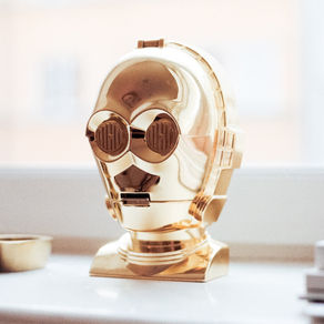 Human or Habit, Which Are You?