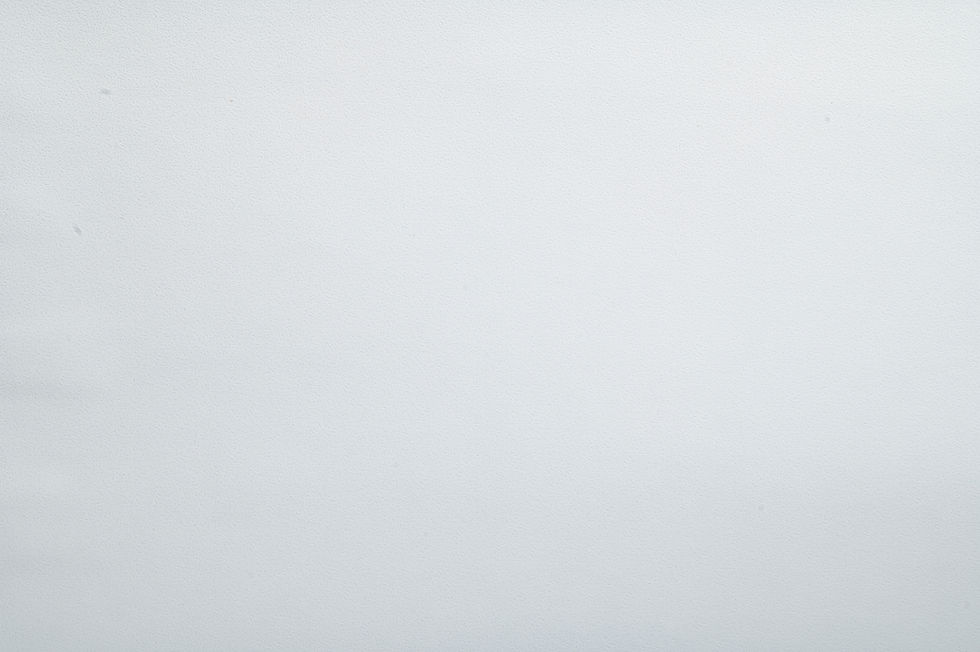 Прев'ю: Самоклеючий папір EMBOSSED COATED SKIN FSC™, 330х500 мм