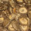 Thumbnail: SHIITAKE Mushrooms (25g. dried)
