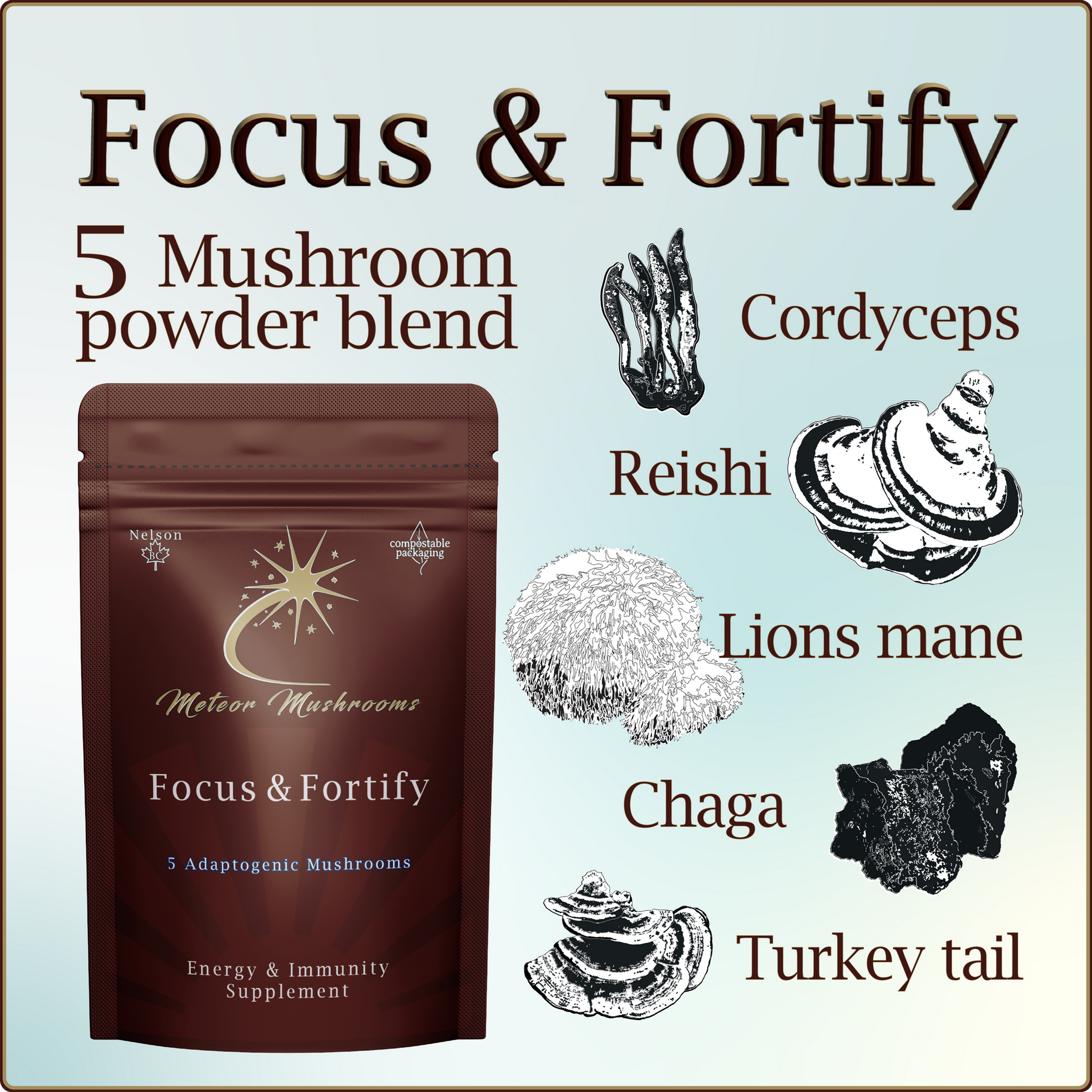 Focus & Fortify ~ 5 Mushroom Blend