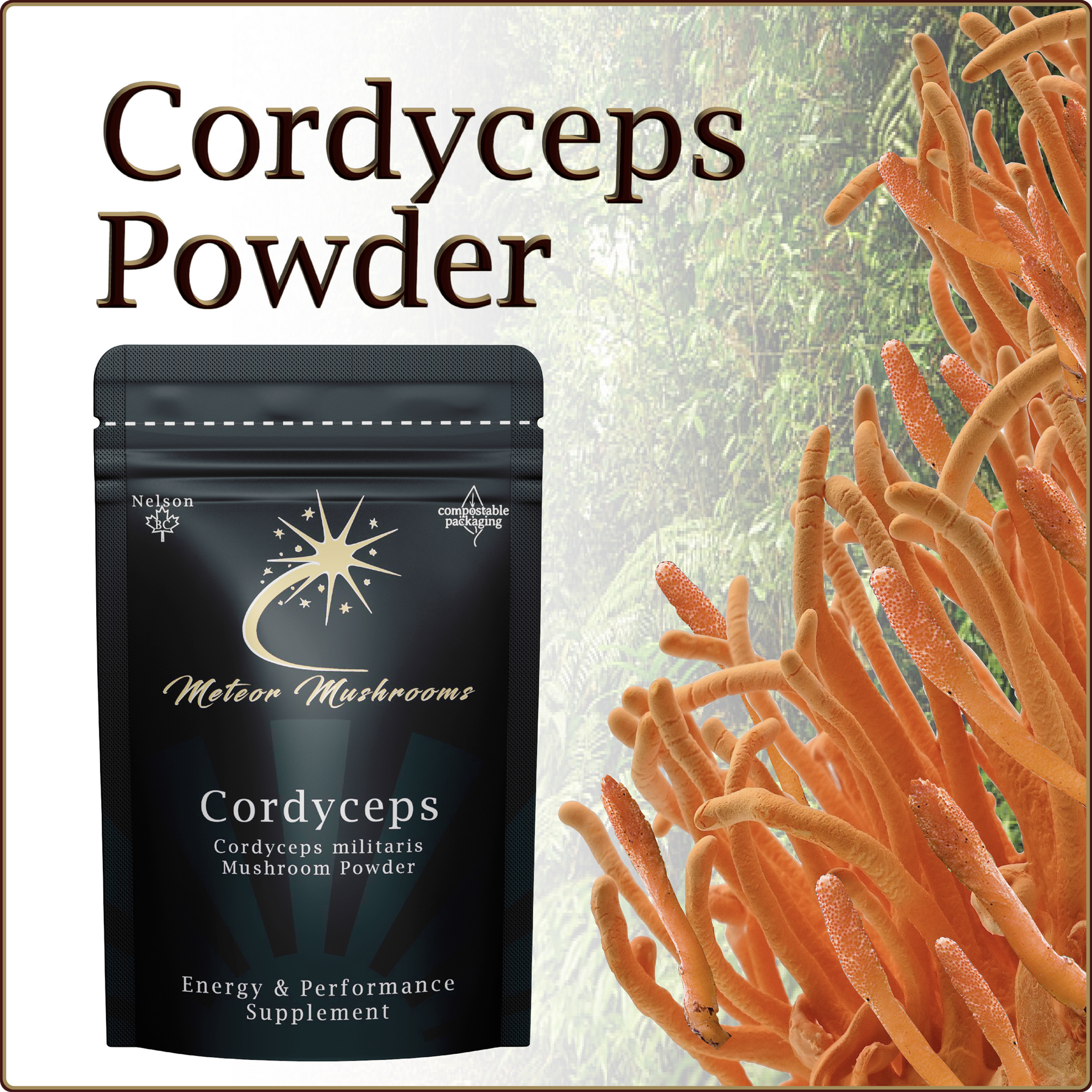 Cordyceps Powder ~ 100g. or 100 caps