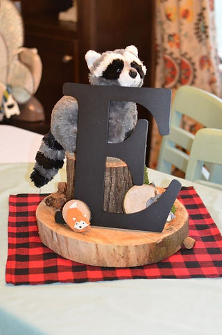 Forest_Raccoon_Party_Idea_26