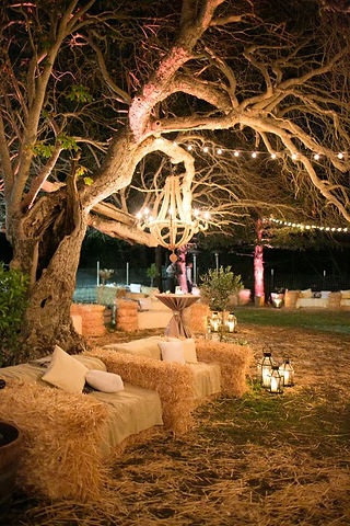 Happy_Farm_Party_Idea_25