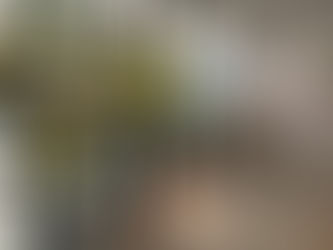 スタートアップステーション・ジョージ山形のグランドオープン！！