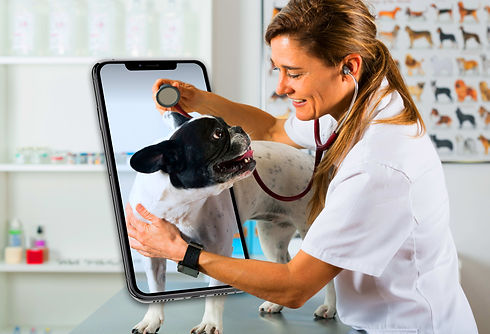 TELEMEDICINE .jpeg