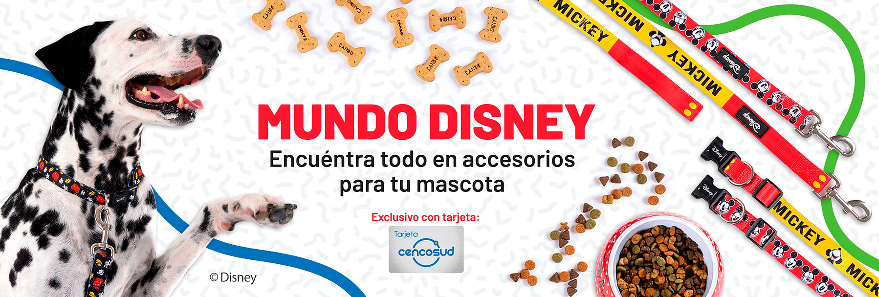 BANNER-DISNEY.png