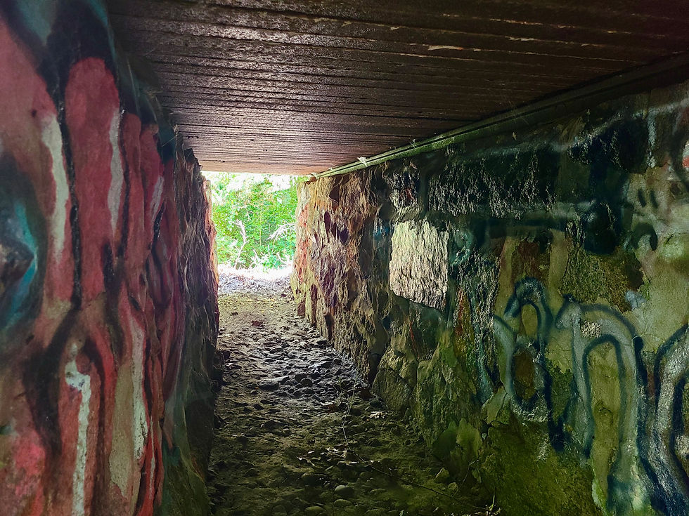 The interior of the cow tunnel with recent graffiti. Photo courtesy of John Walker.