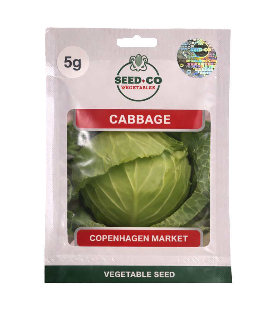 Cabbage seed packet no background.png