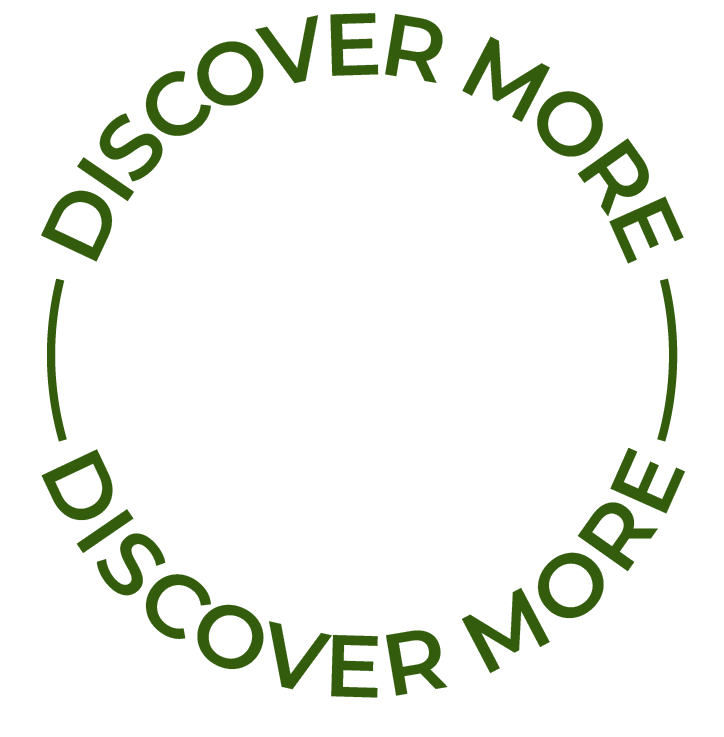 Discover more icon text.png