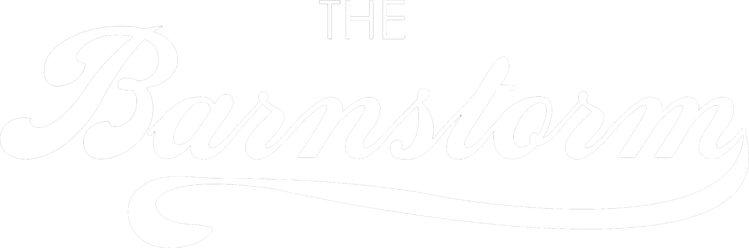 Barnstorm-NoBox-Logo-White.gif