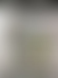 Between Innocence and Rebellion: Nara’s Sonic Soul Reverberates at Southbank Centre