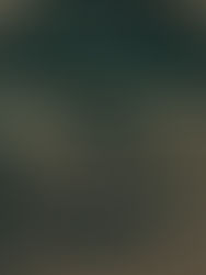 Album Review: Dermot Kennedy Finds His Roots in the Wild with 'The Weight Of The Woods'