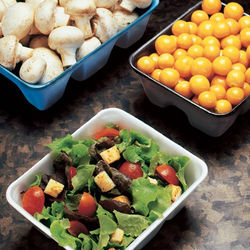 CONTENEDOR BANDEJA HONDA.jpg