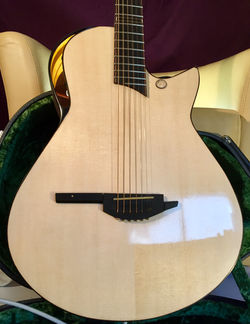 Intoku Verdinero Guitars