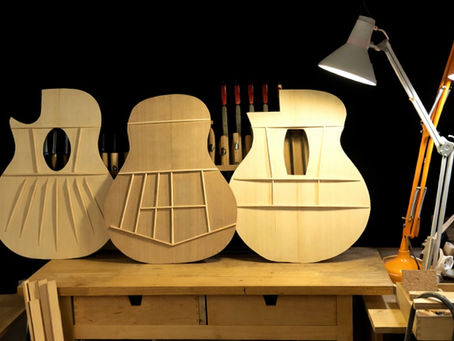 DAS INNENLEBEN EINER GITARRE