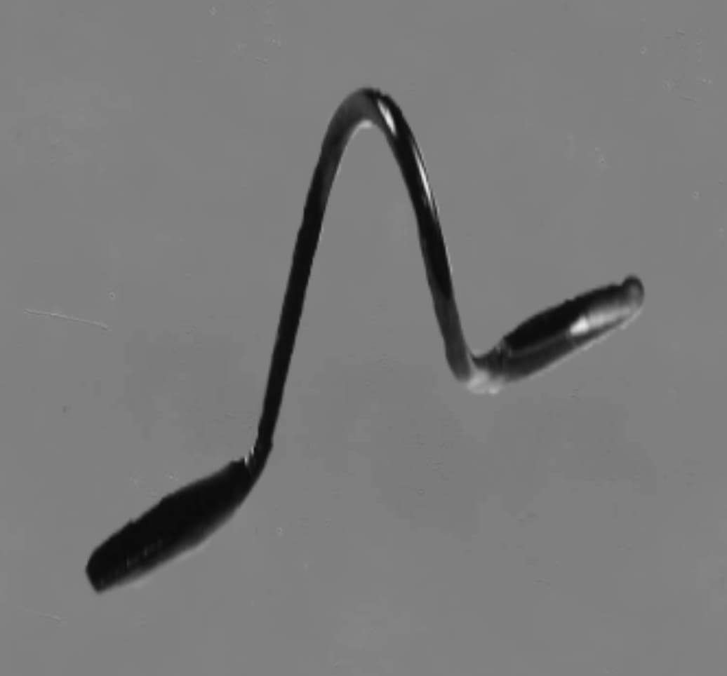 Norman Agutter 619 DLC English Pattern black Snake guides