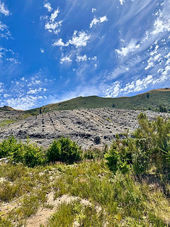 High Peak Forestry, Canterbury