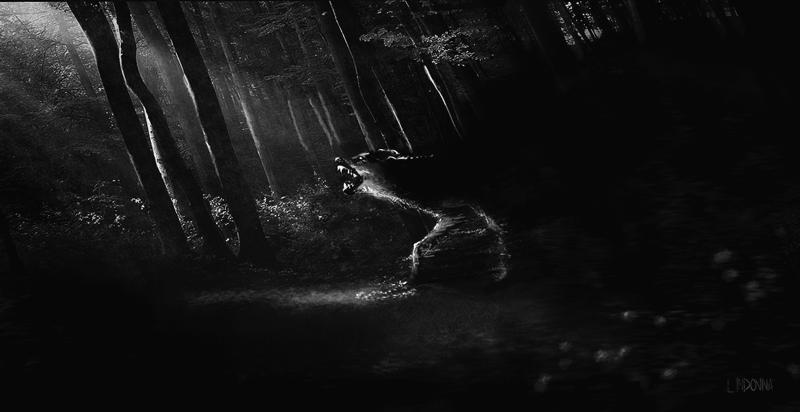 1433363120_LaurenIndovina_Crazy-Wolf.gif