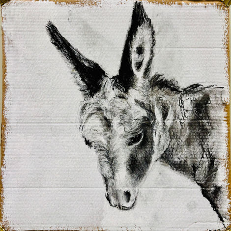 Art donkey Esel Zeichnung Kohle drawing
