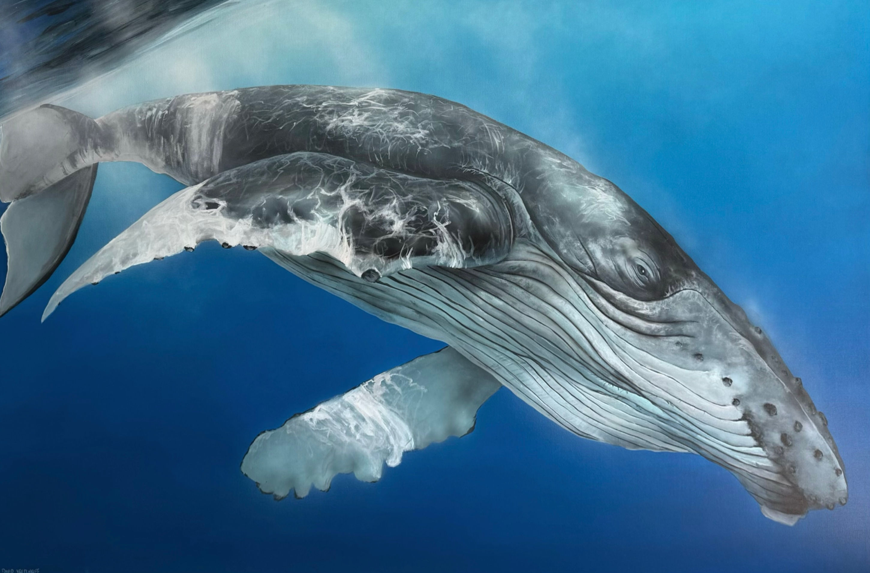 Gentle Colossus