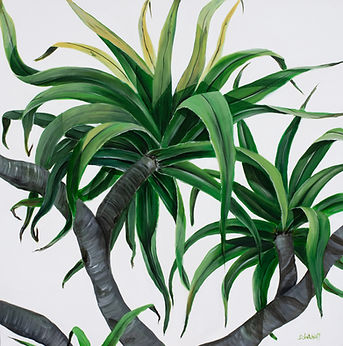 pandanus 4.png