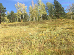 2015-09-09 10.24.04 - copie.jpg