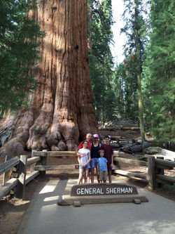 2015-08-15 17.07.03 - copie.jpg