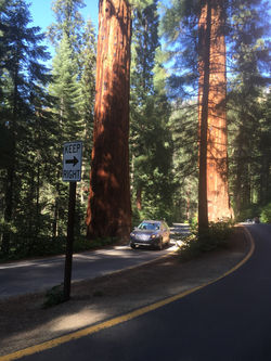 2015-08-15 15.52.10 - copie.jpg