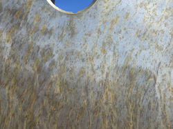 2015-07-24 12.47.39.jpg