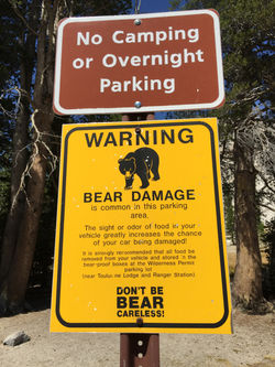 2015-08-14 14.37.49 - copie.jpg