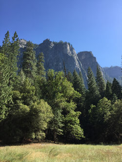 2015-08-14 16.29.54 - copie.jpg