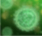 COVID-19: Co-infection with pseudomonas poses high risk of mortality, ASHE,